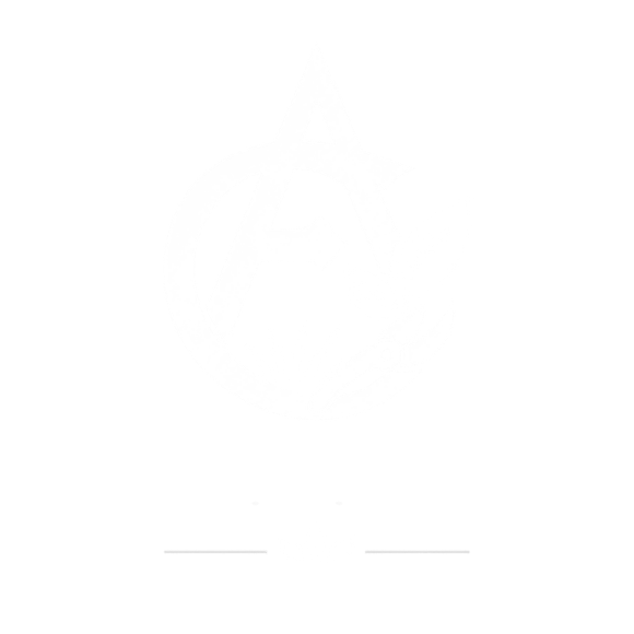 Logo Hondujardin_Blanco
